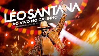 Léo Santana - Ao Vivo no Galinho (Repertório de São João 2023)