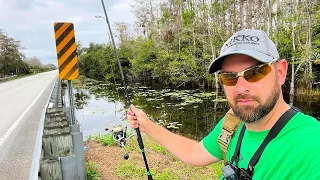 Fishing for Anything on Everglades Roadside