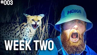 I got HUNTED by a WILDCAT | Running Africa #3