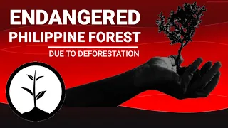 The declining Philippines Forest cover due to Deforestation and illegal logging | PH RED TV