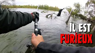 Pêche en Loire : Un RECORD tombe ! Et il est furieux