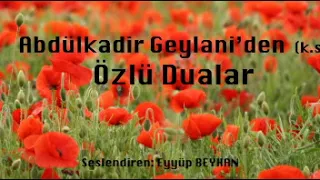 Abdülkadir Geylani'den (k.s) Özlü Dualar-1