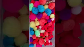 my sugar gliders love their ball pit