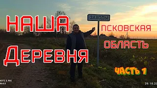 Обзор нашей деревни Заходы/Псковская область