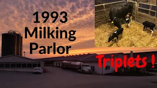 Milking Parlor Tour & Taking Care of Young Stock