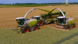 The Strongest Harvesters!! / Claas Jaguar 990 & 980 / Jumpers / Wheat Silage / GPS Häckseln / Fendt