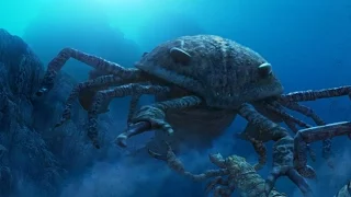 Paleo Profile - Sea Scorpions