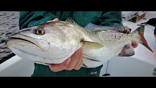 Great Method For Finding, Catching Fish - Trolling for Limits of Trout - Elizabeth River, Va