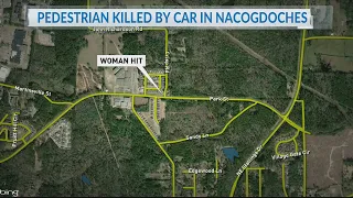 Pedestrian killed after being hit by a car in Nacogdoches