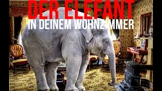 Der Elefant in Deinem Wohnzimmer... verdrängte (familiäre) Tabus