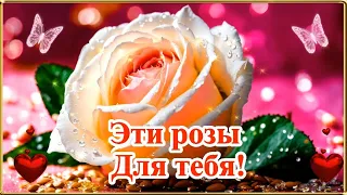 ЭТИ РОЗЫ ДЛЯ ТЕБЯ Музыкальная открытка #Shorts