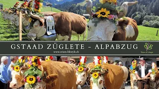 Gstaad Züglete - Alpabzug Gstaad - Berner Oberland - Schweiz - reisen-lifestyle.ch