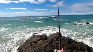 Rock Fishing Port Mac , Big Swell