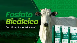 Produzimos Fosfato bicálcico de alto valor nutricional