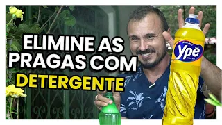 DETERGENTE: Acabe com PULGÕES E COCHONILHAS com esta receita caseira