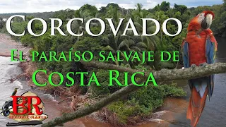 Corcovado el paraíso Salvaje de Costa Rica. Buscando fauna en la selva de Corcovado II.