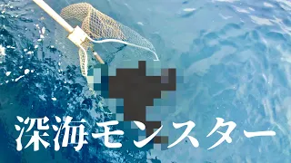 【八坂丸】マダラ狙いで深海モンスター❔【マダラ】