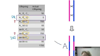 Ch. 9  Linkage and Genetic Maps - Part  2 - Genetic maps and three-factor crosses