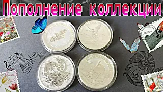 Пополнение коллекции серебряных монет! 4 унции в копилку