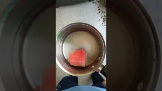 how to check watermelon is injected | Hindi