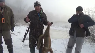 CLOSURE OF THE HARE HUNT!!! Part 2 HARE IN KAZAN HUNTINGLY!!!