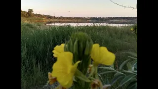 Авдеевка. Утро на песчаном карьере.