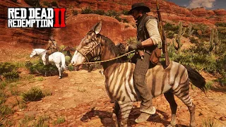 Em busca da ZEBRA PERDIDA - A FAZENDA DE JOHN MARSTON - Red Dead Redemption 2