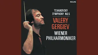 Tchaikovsky: Symphony No. 5 In E Minor, Op. 64, TH.29 - 1. Andante - Allegro con anima