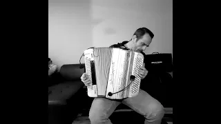 La Javanaise revisitèe à l'accordeon