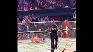 UFC 232 Jon Jones ground and pound finish v Alexander Gustafsson