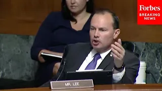 'I Don't Quite Understand': Mike Lee Rails Against Senate Republicans For Not Listening To House GOP