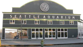 Seattle Aquarium | Wikipedia audio article