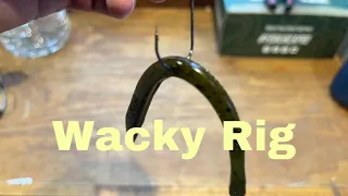 How To Fish And Rig A Wacky Worm