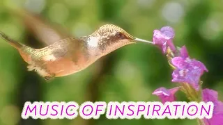 Music Of Inspiration  [ composed by Yevgeniy Nikitenko ]