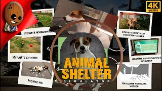Animal Shelter Prologue Ищем дом для брошенных животных  Стрим 4К Прохождение #1