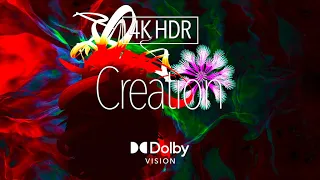 4K HDR Digital Art｜Creation ｜Most Beautiful Sea Creatures on Planet Earth ｜ Dolby Vision™｜Vision Pro