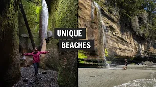 Visiting UNIQUE Beaches on Vancouver Island! (Sombrio Beach, Mystic Beach, & Botanical Beach!)