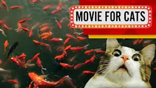 Movie for Cats - More Fish! (Videos for Cats to watch) 4K 60fps