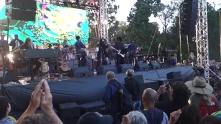 Sing a Simple Song - Surrealistic Summer Solstice Jam in Golden Gate Park