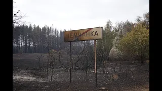 Почти 700 человек и авиация: крупный пожар в Борском районе пытаются потушить больше суток