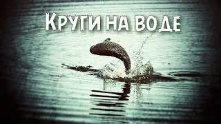 Круги на воде