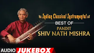 Indian Classical Instrumental | Best Of Pandit Shiv Nath Mishra (Audio Jukebox) | T-Series Classics