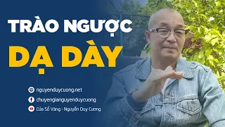 Trào Ngược Dạ Dày