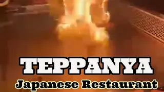 Teppanya House of Teppanyaki Authentic Japanese Buffet Restaurant Eat-all-you-can #planttorneyg