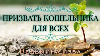 ПРИЗВАТЬ КОШЕЛЬНИКА  ДЛЯ ВСЕХ