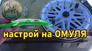 НАСТРОЙ НА ОМУЛЯ , РАБОЧИЕ МУХИ , НА ЧТО Я ЛОВЛЮ 👍