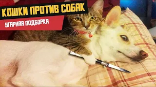 10 МИНУТ СМЕХА ДО СЛЁЗ | ЛУЧШИЕ ПРИКОЛЫ 2021 АПРЕЛЬ | Best Coub 2021