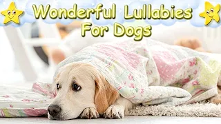 Super Relaxing Sleep Music For Golden Retrievers ♫ Calm Relax Your Puppy ♥ Lullaby For Dogs Pet