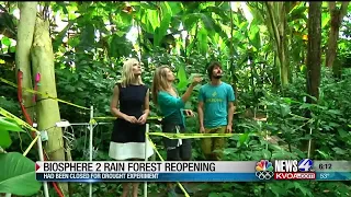 Biosphere 2 reopens rainforest section to the public