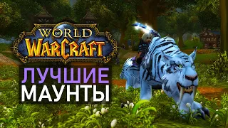 Лучшие маунты World of Warcraft